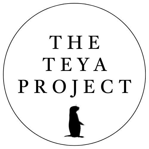 The-Teya-Project